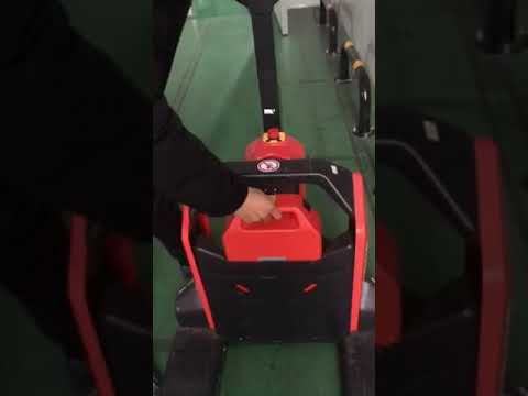 Electric Forklift with Lithium Battery System